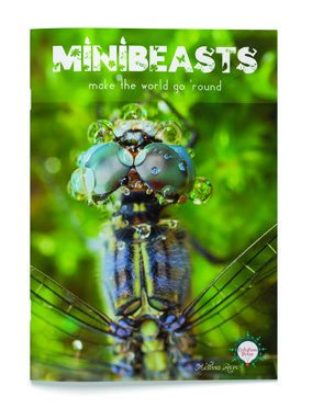 Minibeasts Make the World Go Round cover