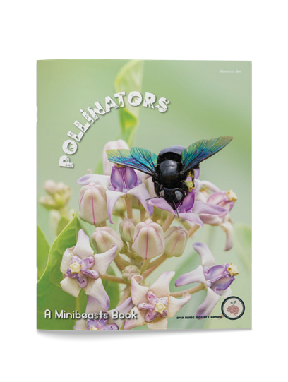 Pollinators cover