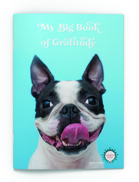 My Big Book of Gratitude cover
